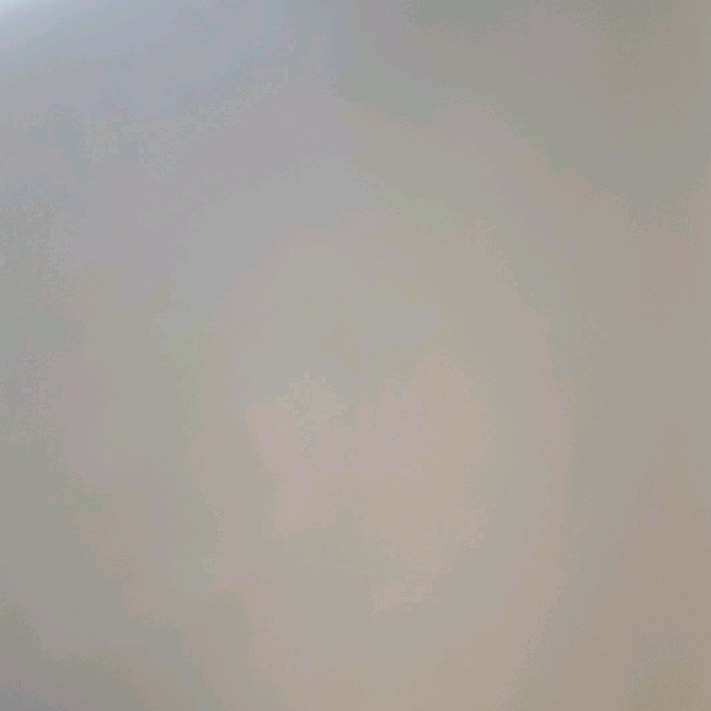 Meet your Posher, Holli